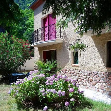 Appartement 48 M2 Avec Jardin Au Rdc Dans Villa A 5 Min A Pied Des Thermes De Vernet-Les-Bains, Location De Samedi A Samedi Exteriör bild