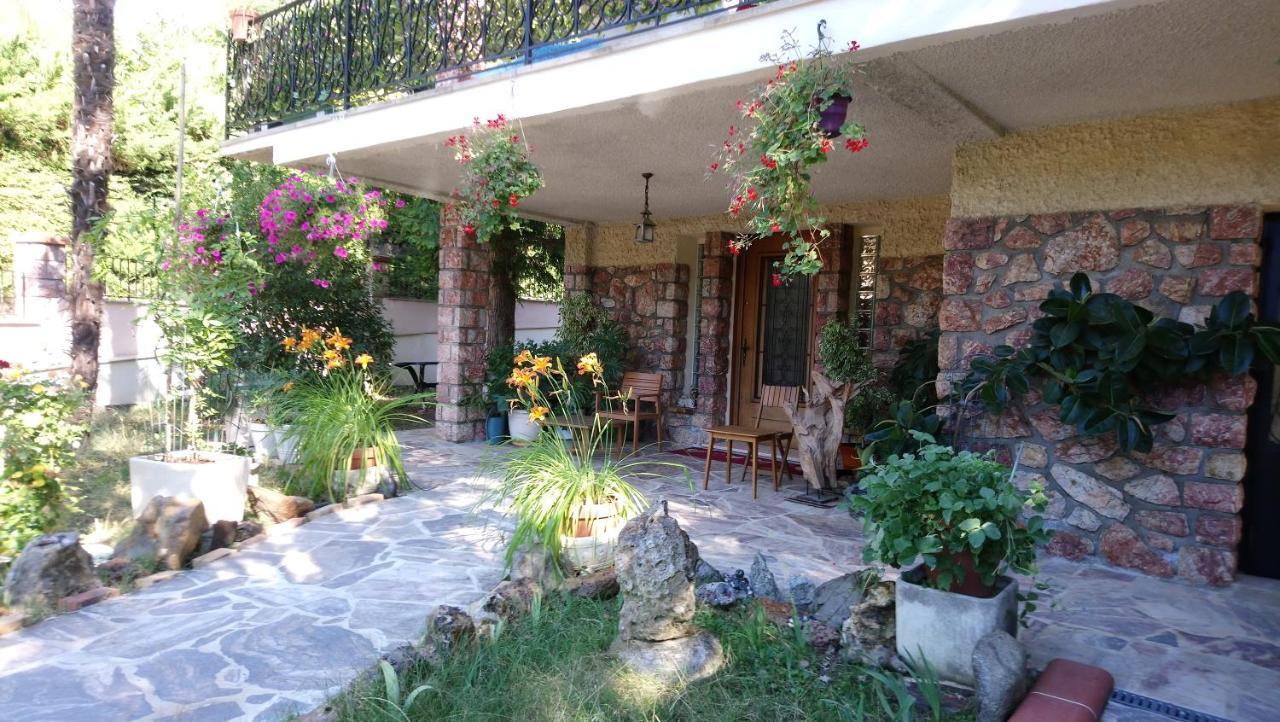 Appartement 48 M2 Avec Jardin Au Rdc Dans Villa A 5 Min A Pied Des Thermes De Vernet-Les-Bains, Location De Samedi A Samedi Exteriör bild